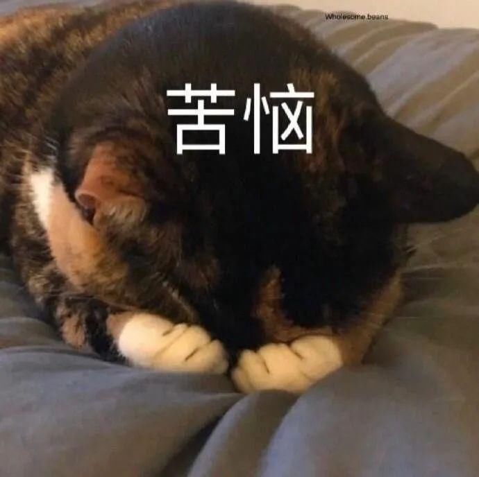  朋友圈|可爱的沙雕朋友圈文案150.0