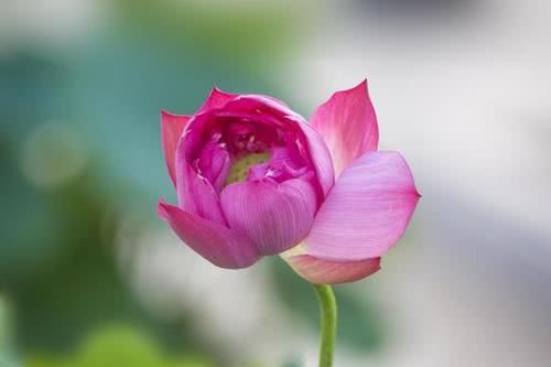  临时|一个人，好运来临时，往往有这3个表现，恭喜了！