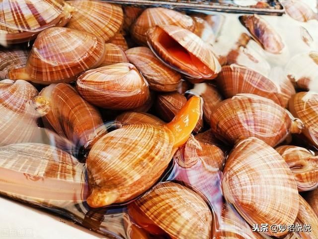 原汁原味|海边人教您这样吃海鲜,自抓自煮原汁原味,一个人吃一大盆超过瘾