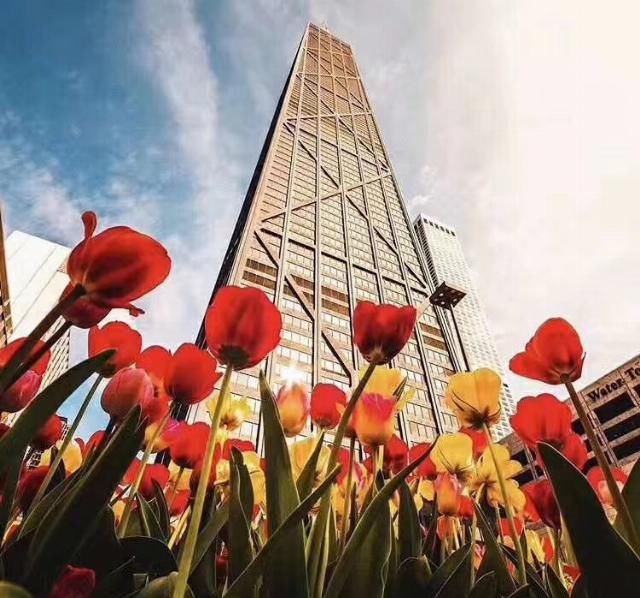  专业|排名不在Top20，专业却是世界第一！这9所美国高校！选它！