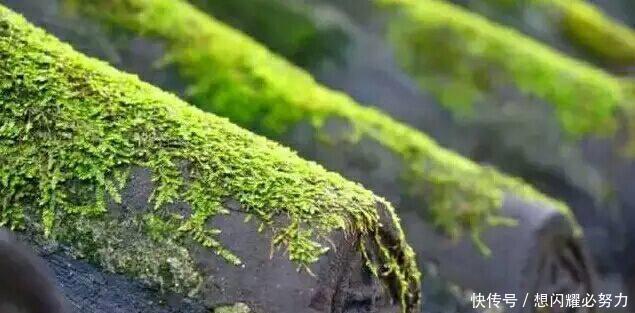 道德经|我们为什么会迷茫《道德经》不失其所者久