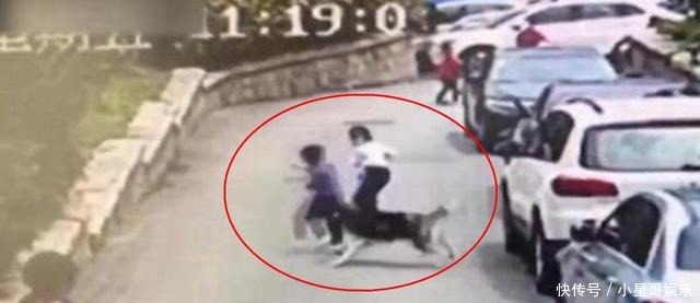  塑料桶|大力秋田犬发疯扑倒过路大爷撕咬，保安两次出手，拿着塑料桶猛锤