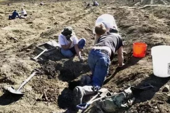 游客|美国一家公园损失上亿美元，被游客挖走2万多颗钻石后，现状如何