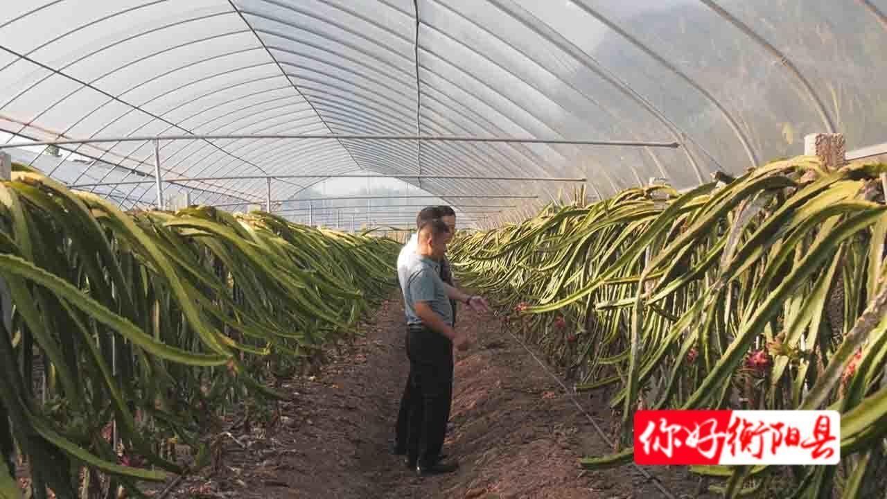 耕农副产品|好家伙！衡阳县一老乡创办合作社做起了糍粑，这色泽真诱人！