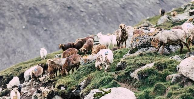  行程|独库公路翻越雪山篇——心灵的震撼与征服