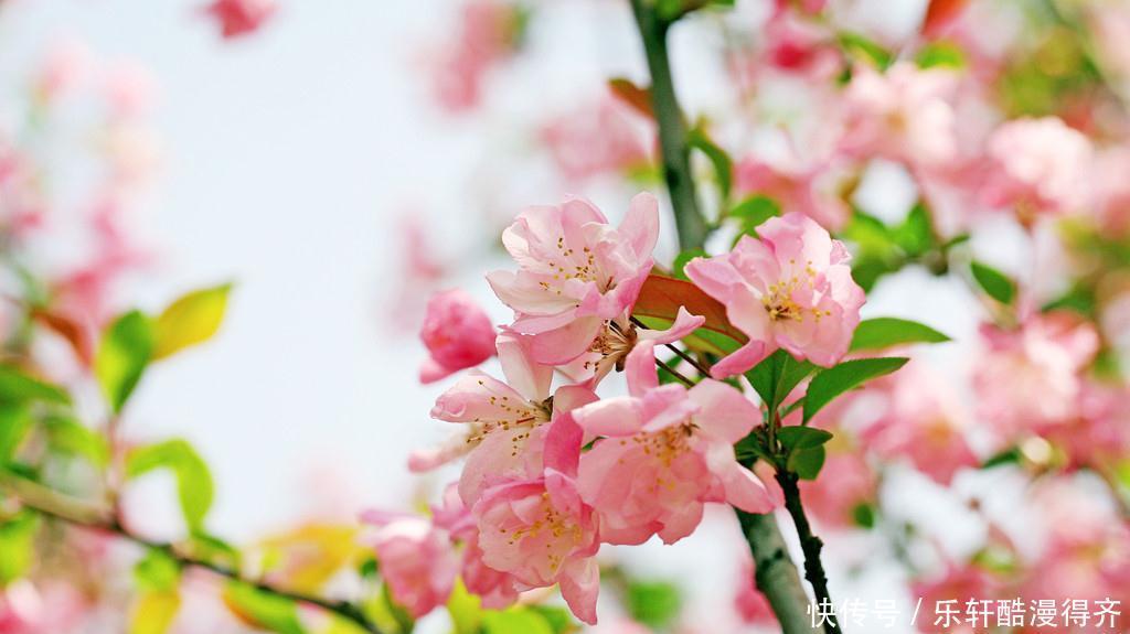 星座|情商高，交际场合一枝独秀的星座，让人钦佩又羡慕