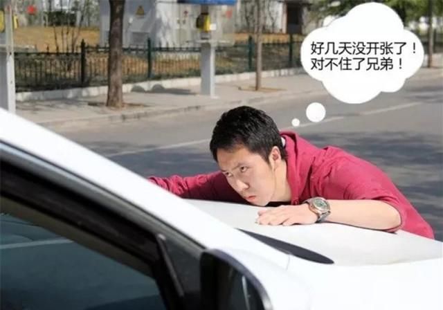  特定|碰瓷党也会针对特定人群？老司机：有行规，这3类车他们不碰！