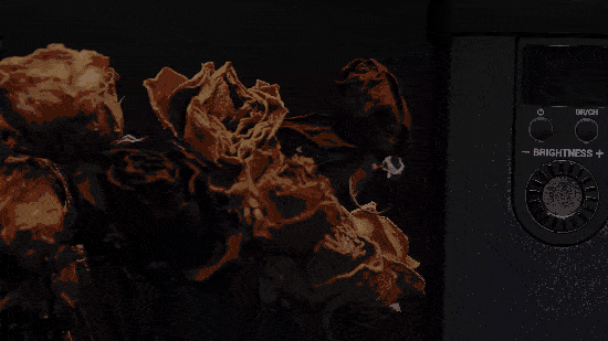  拍摄|神牛VL300，一款专业视频拍摄常亮补光灯