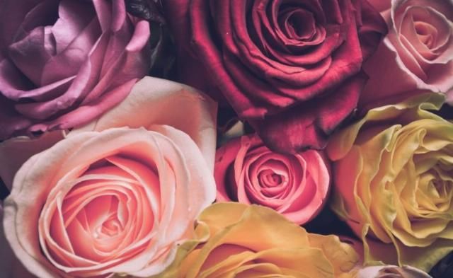  星座|未来十天，十里桃林，良缘涌现，相知相守，跟爱情结缘的4大星座