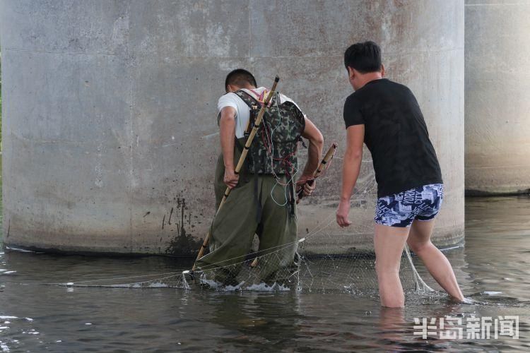 李村河|李村河胜利桥段:4名男子非法电鱼 严重破坏生态平衡