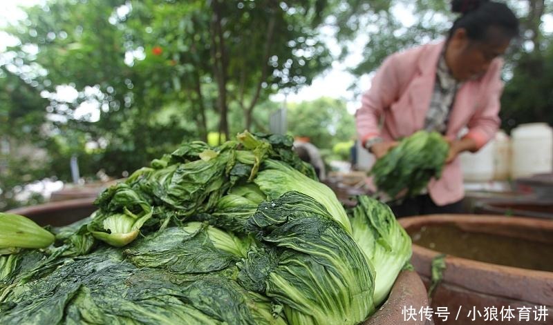 自制|在家自制咸酸菜,酸脆可口,做法简单易上手,趁秋天干燥多做一些