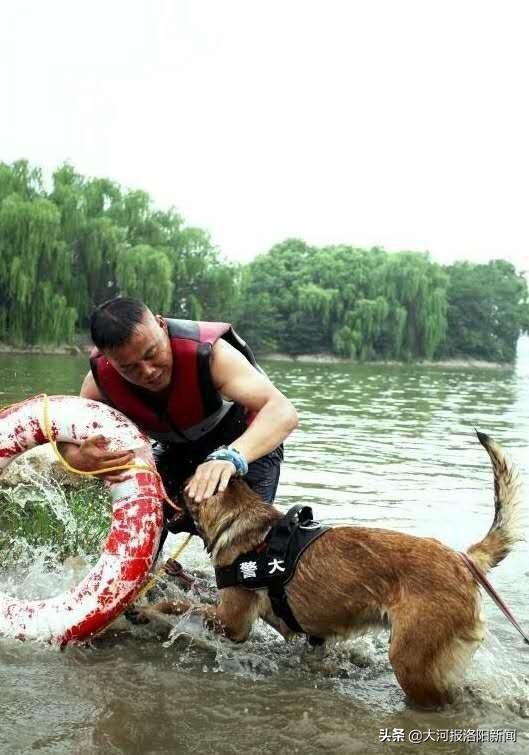 演练|洛阳神鹰救援队举行山地水域飞潜联合救援演练，动力伞、搜救犬、蛙人齐上阵