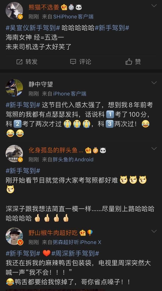  爆表|《新手驾到》首播口碑爆表 背后原因揭秘