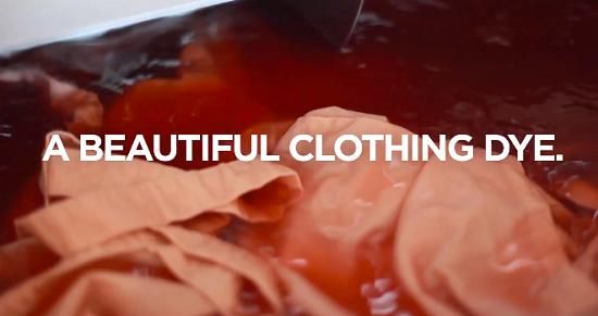  塑料|海外创意荟 | 塑料废物竟成水下新物种；汉堡王发起“减薪皇堡”活动……