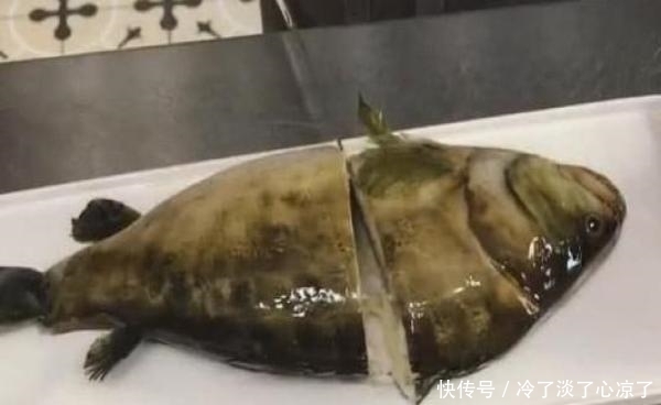皱起|老外不认识字点了条生鱼,刚一上桌皱起眉头,切开一瞧却大开眼界