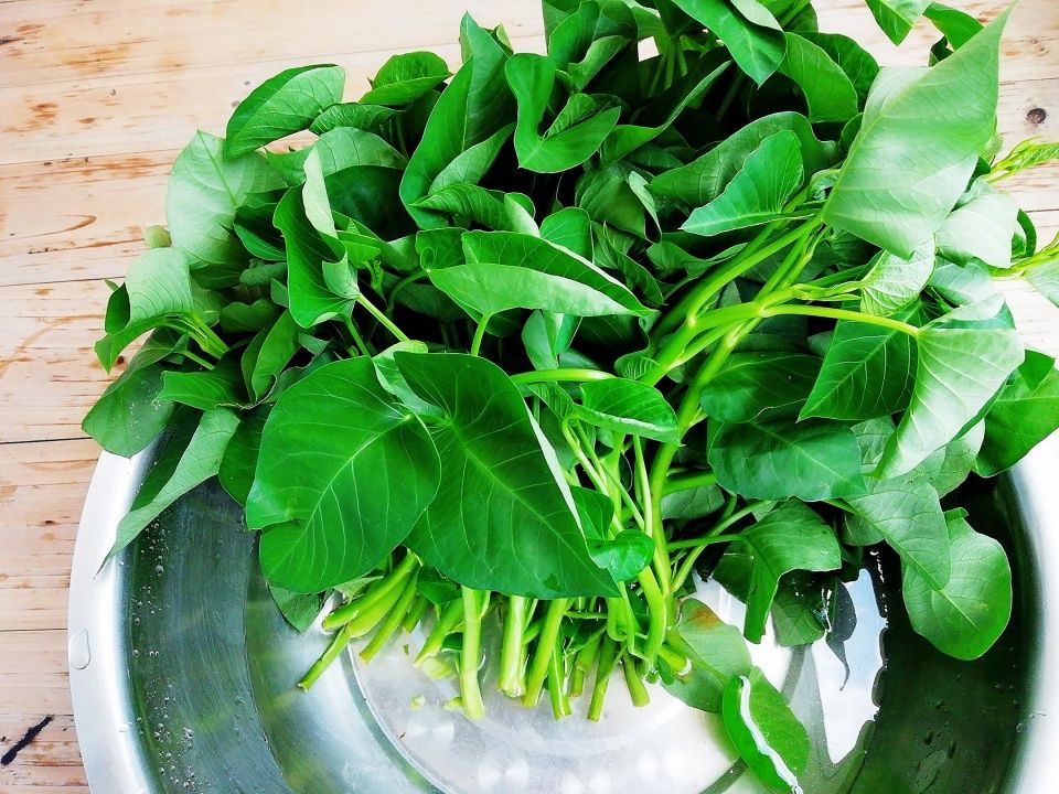  好吃|空心菜别再炒了，加点它拌一拌就上桌，拿肉都不换，太好吃了