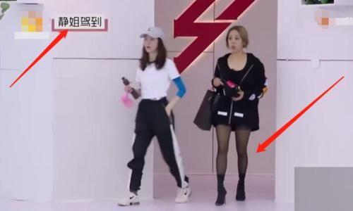  登上|宁静穿黑色袜子登场，因姐姐们的表情管理，登上热搜榜首位