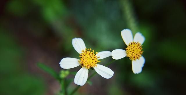 一段话|很现实的一段话,说得真好,今天被刷屏了