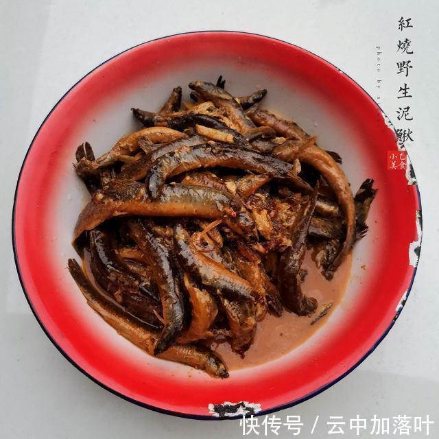 下饭|红烧野生泥鳅,酱香浓郁,十分下饭