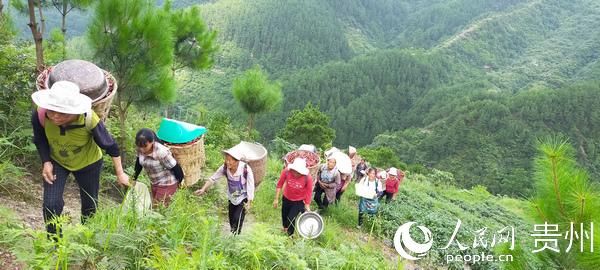 变化|沿河夹石镇：干群勠力同心 打好脱贫“组合拳”