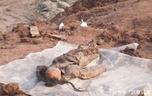 清朝|清朝官员穿龙袍下葬, 留明朝发饰, 专家不能确定其身份
