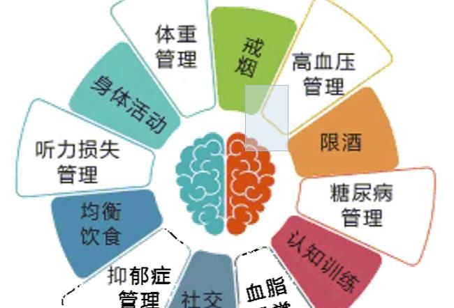 健康|人体健康之额颞叶痴呆