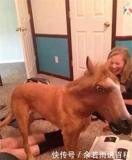 厉害|搞笑图片幽默段子笑话:哈哈哈,妹子你这是啃牛排啊,厉害了