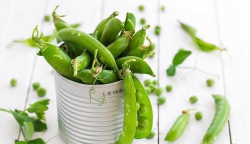  营养|孩子上学带便当，注意这5点，口味丰富，营养全面，在家做很轻松