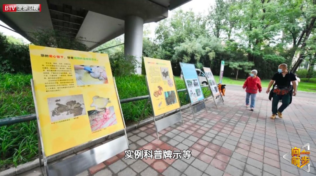 文明|《向前一步》向十一长假不文明行为“开战”拒绝以爱为名的伤害