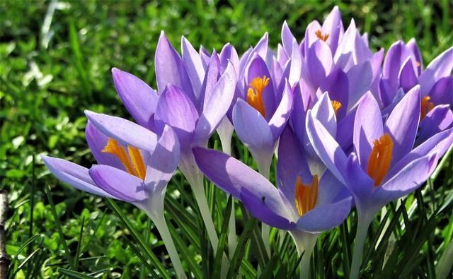  双鱼座|双鱼座是什么样的人，你真的读懂了吗？