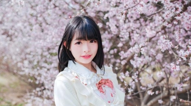 清风|落花为盏,可邀明月,舞清风