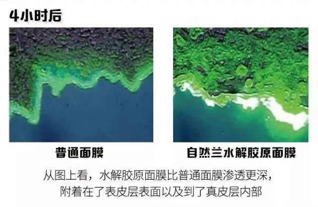  近照|61岁“少女脸”奶奶近照被扒！看完这张脸，6亿直男在线表白：美得太犯规！