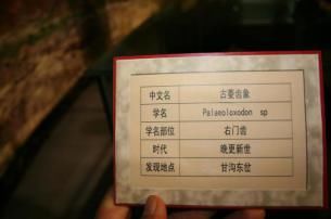 韩集|会宁乡村游，韩集云台山上榜！