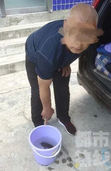  秦岭|三男子秦岭爬山后被警方刑拘！他们干了啥？后备箱里竟藏着...