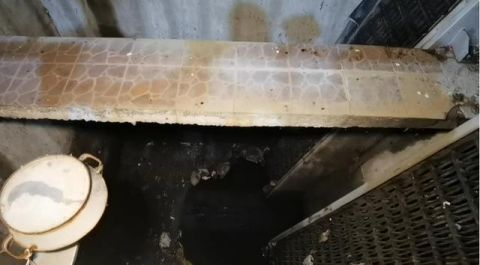  甜美|嘉兴这群环保人的夜巡，只为守护你的甜美梦乡