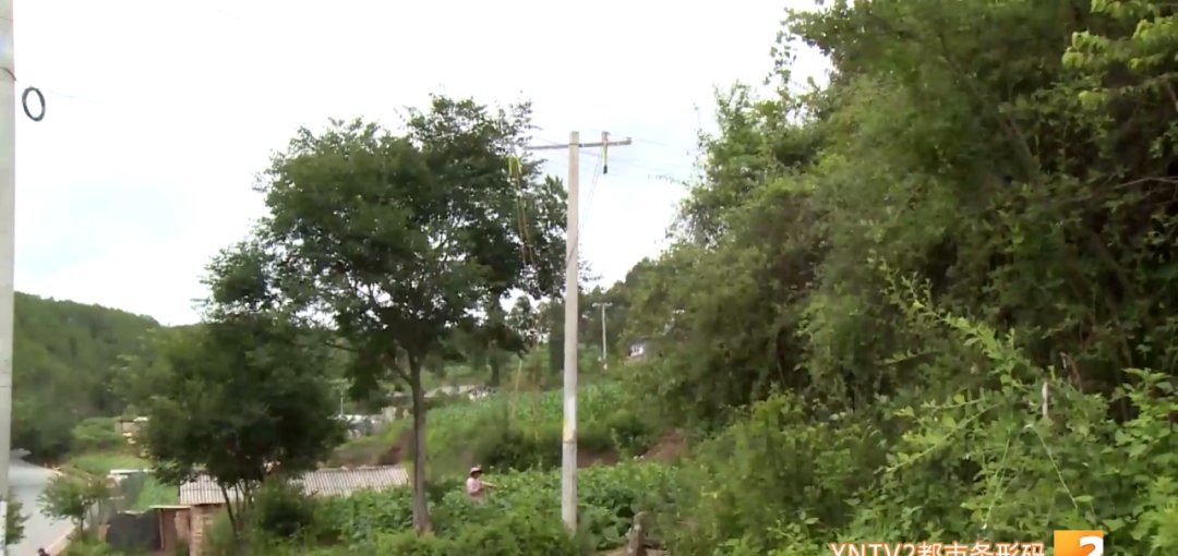  村村民|豪横! 风吹着万元钞票一路飞洒, 他却毫无察觉! 最后……