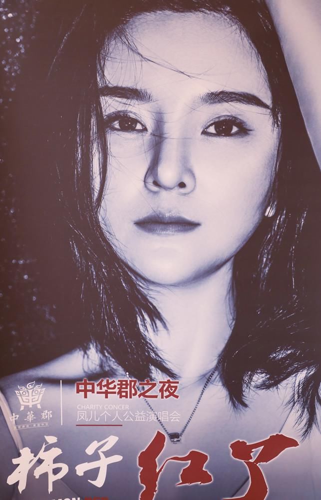 中华|凤归乡，中华郡之夜“柿子红了”凤儿公益演唱会即将唱响富平