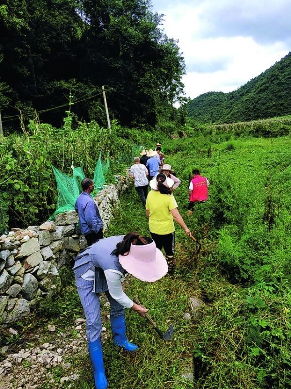 活动|马场镇凯洒村 开展“为民做实事”活动