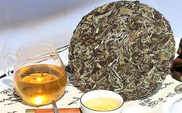 白茶|白茶真的越陈越好吗？
