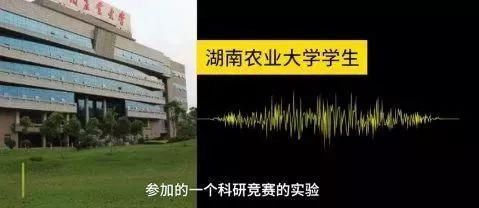 博士|搞科研真难啊!浙江农科院博士的一箱有毒实验材料被村民盗走,还差点被误食……