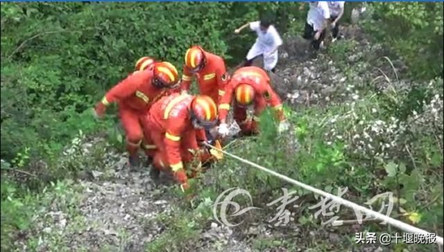  摔伤|老人坠入10米深山沟被困两天：摔伤无法动弹，靠喝雨水维生