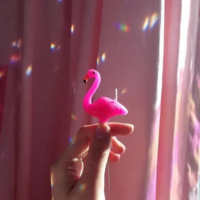  治愈|治愈系背景图：你知道我对你不仅仅是喜欢