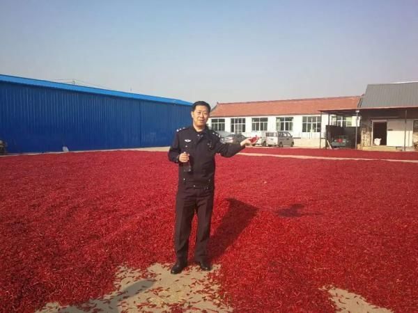  夏天|【津评乐】遇见夏天，醉美卜庄