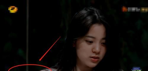  露馅|《向往4》都夸黄磊做饭好吃，欧阳娜娜直接“露馅”？网友：打扰了！