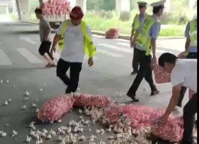  幸遇|十几袋大蒜被甩下车 幸遇中牟交警伸援手