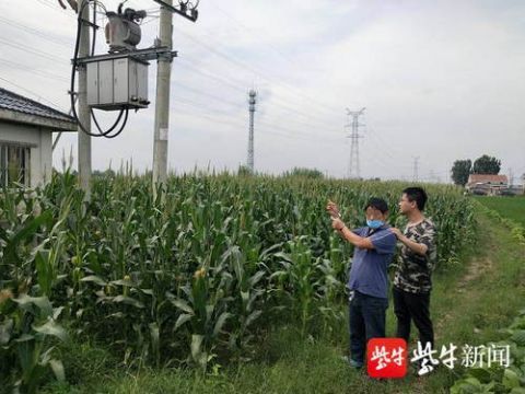 电缆线|疯狂盗窃30万元电缆线 ，“电耗子”团伙被警方一网打尽