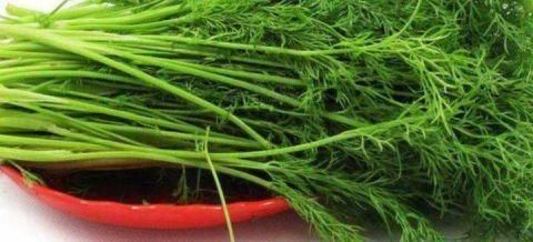  刮油|常见的“刮油”食物有哪些？