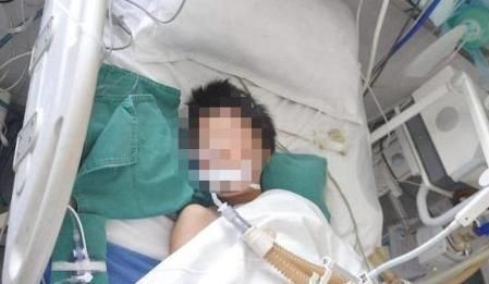 乘客|男孩公交车上多次故意踢踹乘客，教育无效后，男子的反击太残忍