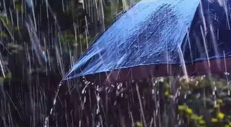 降雨|雷阵雨、中雨！邢台开启连续降雨模式