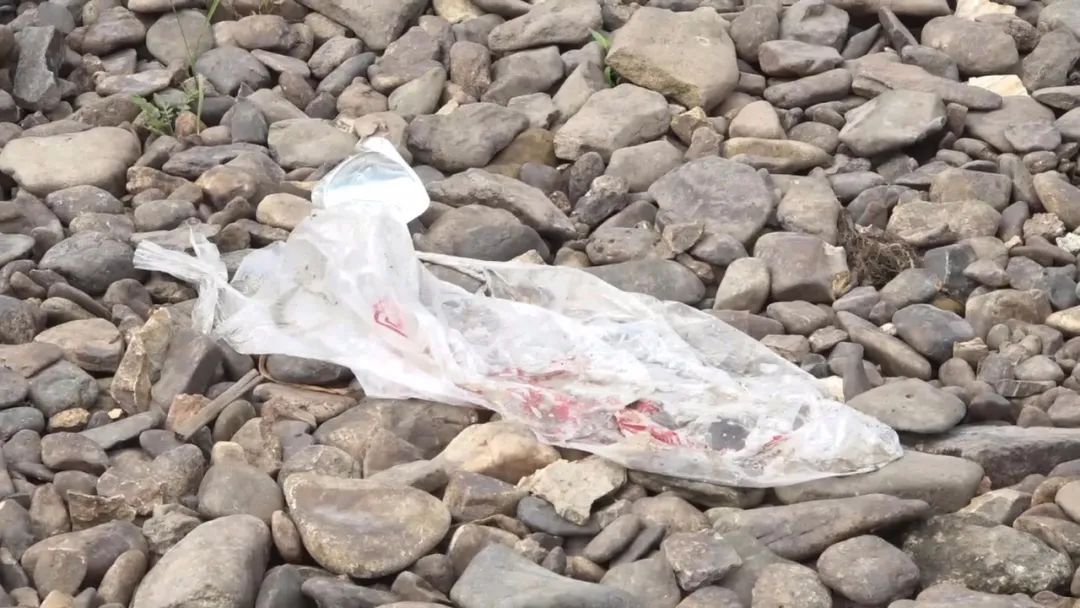 清清|清清河水悠悠，游人走垃圾留